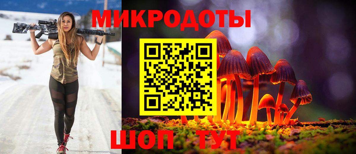 Псилоцибиновые грибы Psilocybine cubensis Волжский